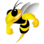 Coventry Bees