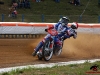 zlatastuha2009_zavrel_00027